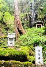 奥に小さな滝がある御滝神社。険しい山道を登った先の滝と新緑がパワーを与えてくれそう＝兵庫県香美町村岡区村岡