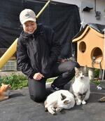 　湯島で猫の世話をする地域おこし協力隊の林愛子さん＝２月、熊本県上天草市