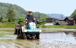 田植え機で早期米の苗を植え付けていく農家＝２６日、鳥取県八頭町西谷