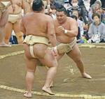 　朝稽古で相撲を取る霧島（右）＝１８日、千葉県浦安市