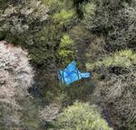　２人の遺体が見つかった現場付近に張られたブルーシート＝１６日、栃木県那須町