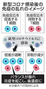 　新型コロナ感染後の免疫の乱れのイメージ