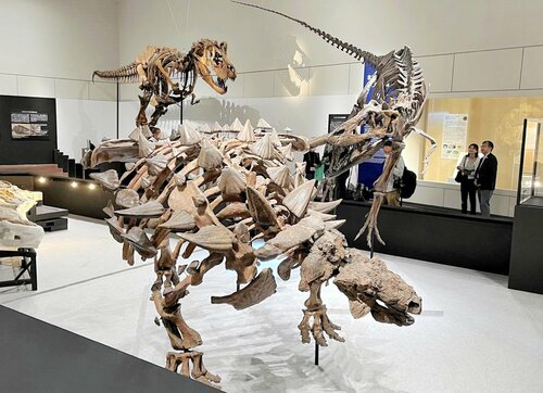 ズール（手前）とゴルゴサウルス（右）が相対するシーンを再現した全身復元骨格