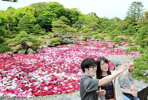  ボタンで彩られた池を背景に記念写真を撮る来園者＝２９日、松江市八束町波入の由志園 