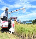 青空の下、コンバインで早期米を刈り取っていく生産者＝２５日、鳥取県八頭町見槻中