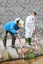 測量ポールを使って水辺の安全点検をする職員ら＝１８日、倉吉市関金町関金宿の滝川親水公園
