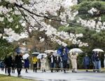 　皇居・乾通りの春の一般公開が始まり、桜を楽しむ人たち＝２９日午前