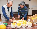 クレオパトラメロンの出来栄えを確認する生産者＝２３日、湯梨浜町久留のＪＡ鳥取中央羽合支所