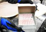 　培養した原核生物を冷凍保存している設備＝茨城県つくば市の理化学研究所バイオリソース研究センター