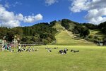 会場となった兵庫県立但馬牧場公園