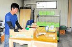 新たに整備された白ネギ共同作業場で仕事をする来海さん＝２８日、米子市大崎