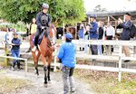 体験型観光をテーマに台湾の旅行会社などを招いて行われた体験会。訪日客に地域の魅力をアピールできるかが問われる＝昨年１１月１２日、大山町赤松の大山乗馬センター