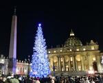 　バチカンのサンピエトロ広場に飾られたクリスマスツリー＝12月９日（共同）