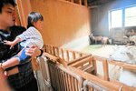 【こんにちは】
あいにくの雨天で動物たちは園舎の中。上からのぞきこんでごあいさつ
