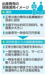 　出産費用の保険適用イメージ