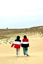写真５