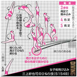女子板飛び込み・三上紗也可のひねり技（５１５４Ｂ）