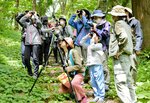 木立の中、野鳥の姿を探す参加者＝２１日、大山町大山