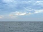 　魚のような雲だった＝筆者提供