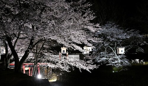 幻想的な雰囲気の旧美歎水源地水道施設の夜桜