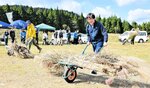 ススキのカヤ運び競争に挑む参加者＝１５日、新温泉町の上山高原
