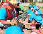 サツマイモなどの苗を植える園児ら