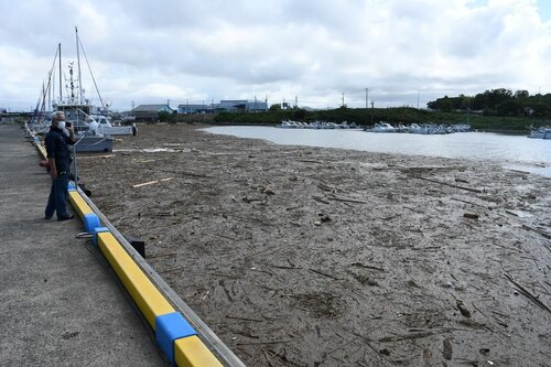 【ごみ漂着】海面を埋める流木などの大量のごみ＝１６日午後２時２７分、鳥取市港町の鳥取港