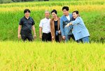 星空舞の水田を視察する美利米業有限公司の朱社長（右）ら＝９月２６日、江府町御机