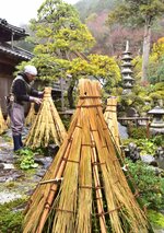 庭木に雪囲いをまとわせ、冬支度が進む石谷家住宅の庭園＝１１日、鳥取県智頭町智頭