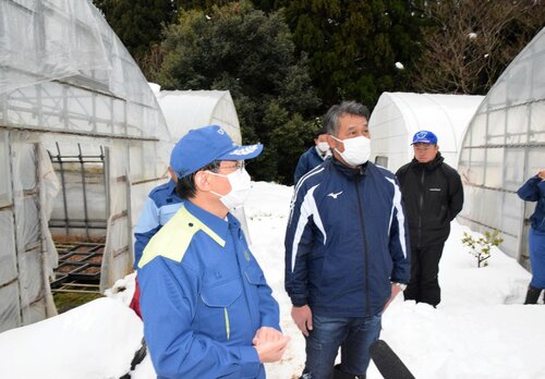 雪害の状況を確認する（左から）平井知事、市橋さん＝２７日、大山町羽田井