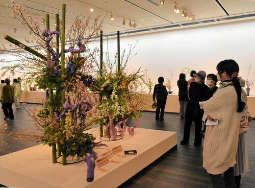 華やかな生け花が彩る会場＝４日、鳥取市のとりぎん文化会館