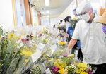 お供え用の切り花を選ぶ買い物客＝１２日、新温泉町栃谷の道の駅山陰海岸ジオパーク浜坂の郷