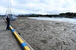 【ごみ漂着】海面を埋める流木などの大量のごみ＝１６日午後２時２７分、鳥取市港町の鳥取港