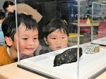 開幕した巡回展で岩石を見る子どもら＝２日、岩美町浦富の町中央公民館