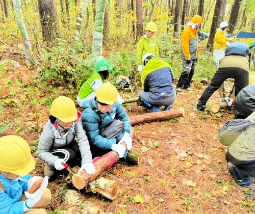 除伐した木でコースター作りなどを楽しむ参加者