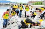 境港市西工業団地の中海護岸でごみを拾う参加者
