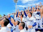 ４年ぶりとなる夏の大阪の頂点に沸く履正社応援団＝３０日、大阪市此花区の大阪シティ信用金庫スタジアム