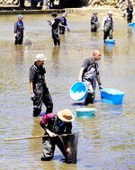 水を抜いた堀で生物を探す参加者＝２９日、鳥取市東町２丁目の鳥取城跡
