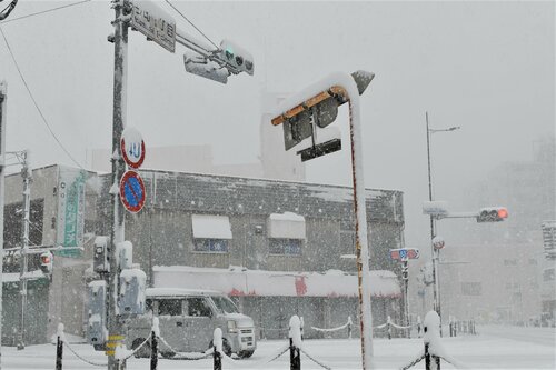 着雪で見えにくくなる信号機＝24日午前9時27分、鳥取市今町1丁目