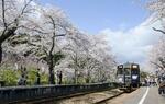 　「のと鉄道」能登鹿島駅の桜並木＝４月９日午後、石川県穴水町