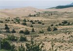 １９９１年に西側から撮影した鳥取砂丘。中央に見えるのが馬の背。かつては全体の４割で草原化が進んでいた（鳥取県提供）