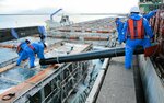  トラックで運び込んだ稚魚を船の上の水槽に移す社員＝２日、境港市竹内団地 