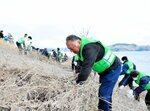 護岸の斜面でツタを刈る参加者ら