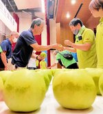 甘く大きく育った鳥取県産二十世紀梨の出来栄えを確認する生産者ら＝１７日、北栄町由良宿の町大栄農村環境改善センター