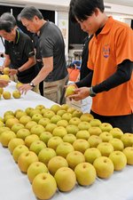 色づきや出来栄えを確認する生産者ら＝１６日、北栄町の県園芸試験場