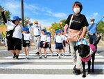 安全な横断歩道の渡り方を実演する江崎さん（右）と園児たち＝２５日、鳥取市福部町湯山