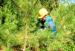 森林保全活動に汗を流す社員ら