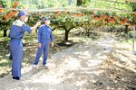一部で土砂崩れが発生した梨農園の被害を視察する平井知事（右）＝１７日、鳥取市福部町内
