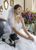 　ウエディングドレスを着て、愛犬と記念写真の撮影に臨む康ダソム＝ソウル（共同）