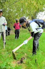 くわを使ってタケノコを掘る参加者＝２９日、伯耆町上野